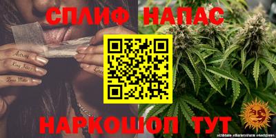 МДПВ Старая Купавна