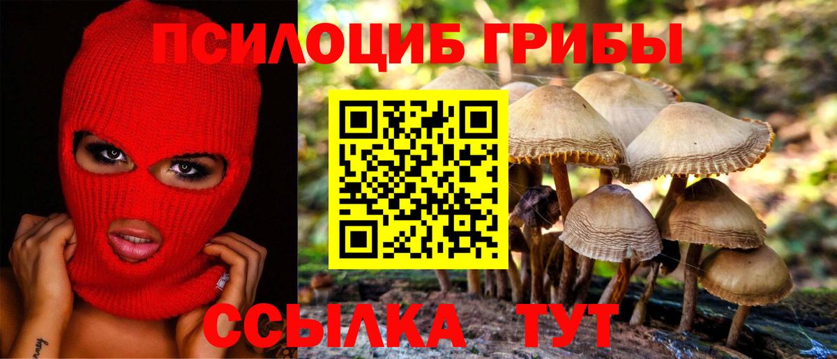 Бахчисарай  Псилоцибиновые грибы Psilocybine cubensis  Вход с VPN  Галлюциногенные грибы Cubensis 